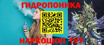 эйфоретик Гусь-Хрустальный