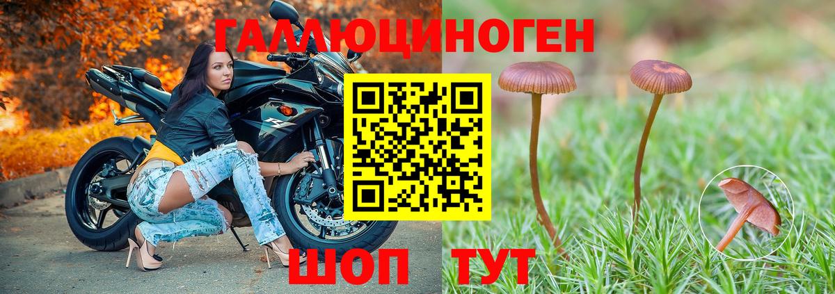 Псилоцибиновые грибы GOLDEN TEACHER  Вход с VPN  Добрянка 